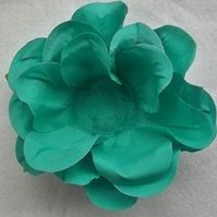 CD.0029