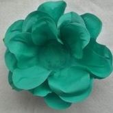CD.0029