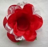 CD.0022