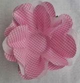 CD.0023
